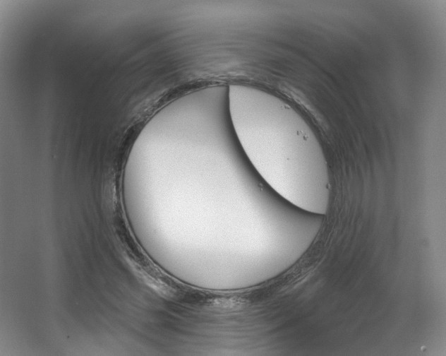 X0000063450541200601200957