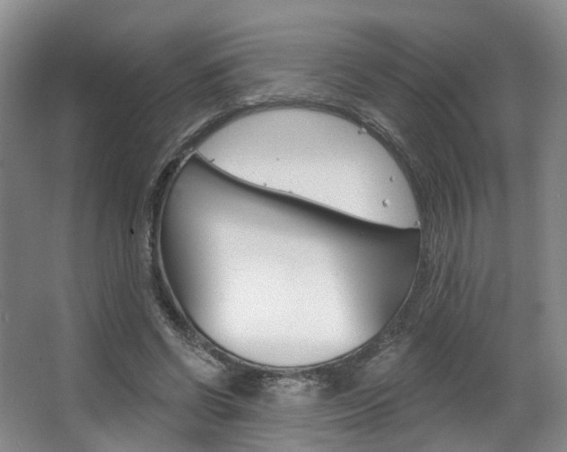 X0000063450542200601200957