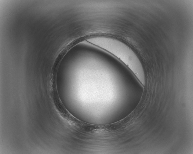 X0000063450544200601200957