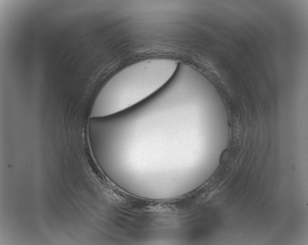 X0000063450545200601200957