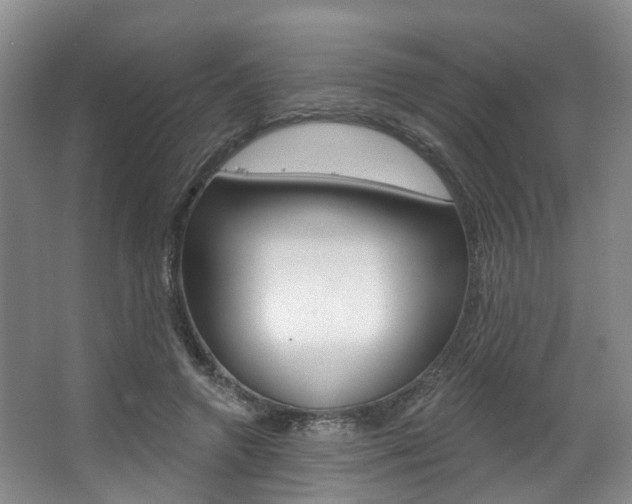 X0000063450546200601200957