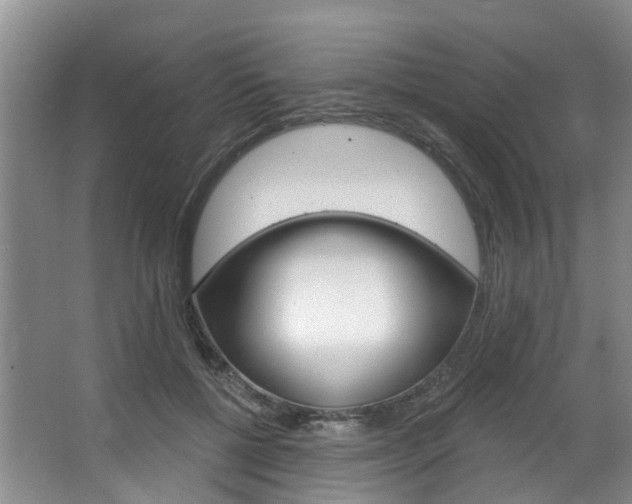 X0000063450552200601200957