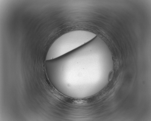 X0000063450557200601200958