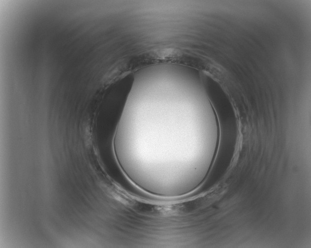 X0000063450558200601200958