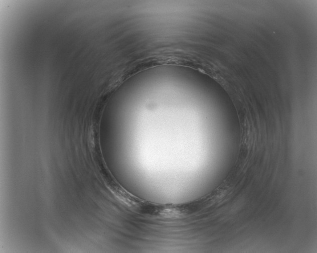 X0000063450562200601200958