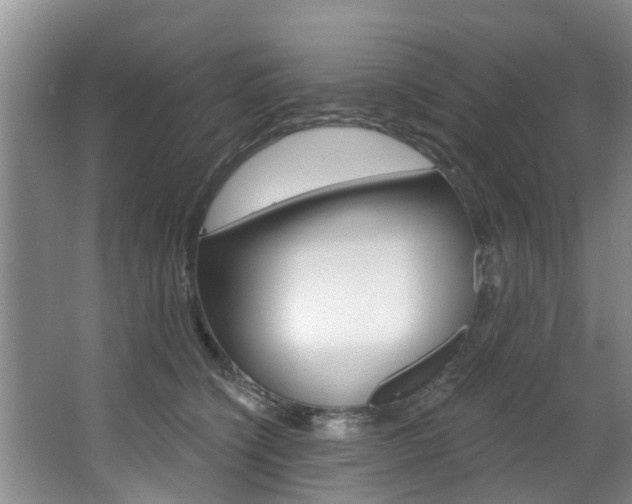 X0000063450564200601200958