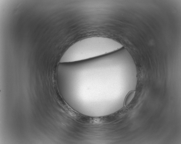 X0000063450565200601200958