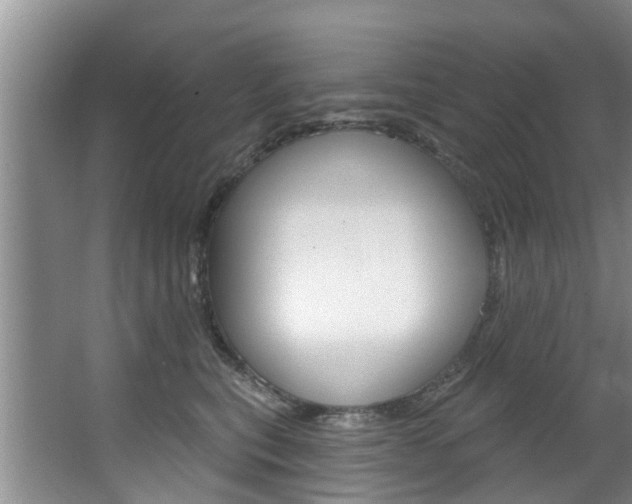 X0000063450567200601200958
