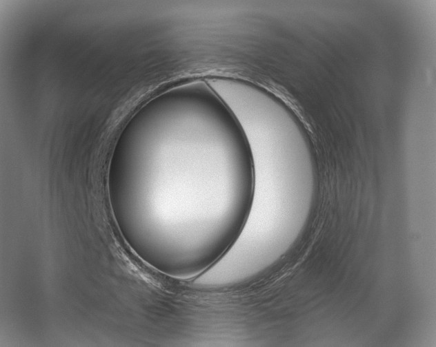 X0000063450577200601200957