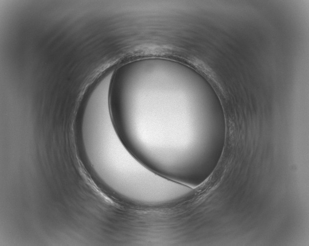 X0000063450581200601200957