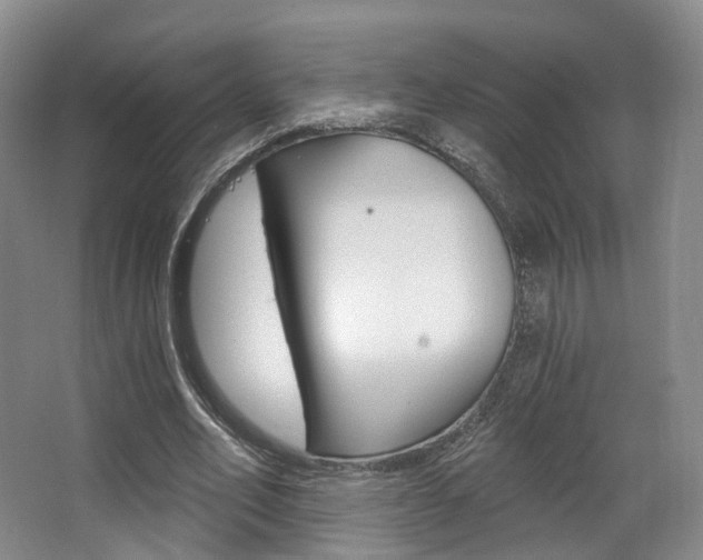 X0000063450582200601200957