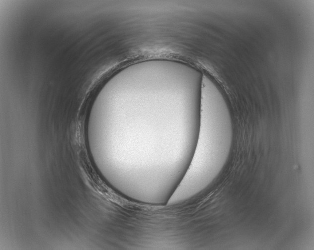 X0000063450583200601200957