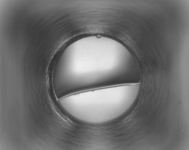 X0000063450584200601200957