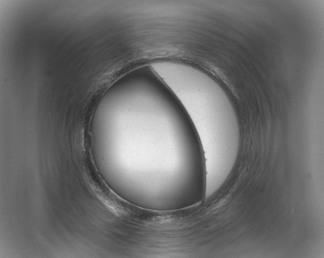 X0000063450589200601200957