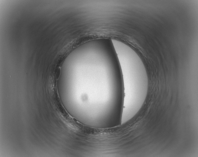 X0000063450593200601200957