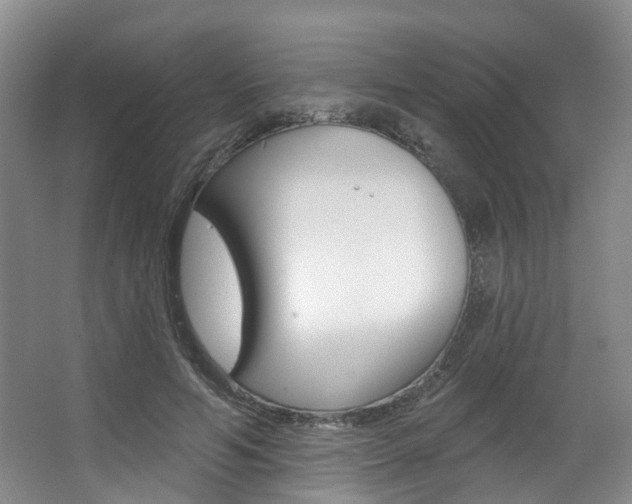 X0000063450594200601200957