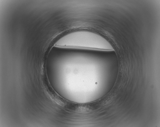 X0000063450596200601200957