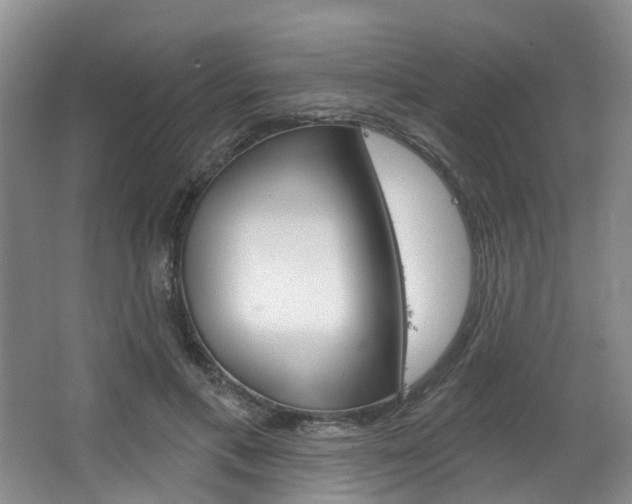 X0000063450597200601200957