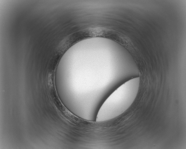 X0000063450598200601200957
