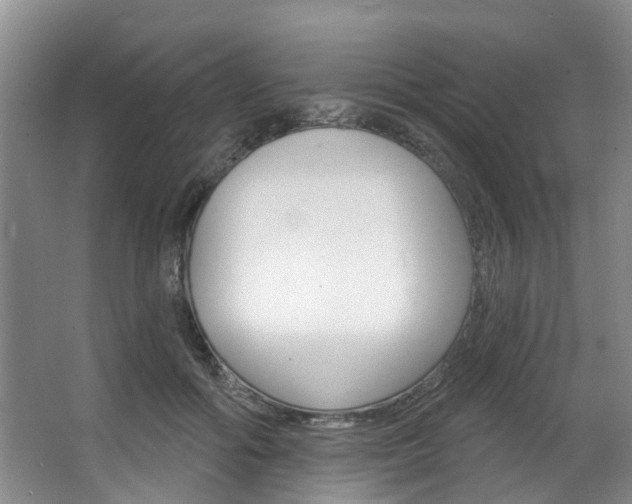 X0000063450602200601200957