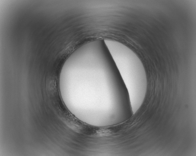 X0000063450603200601200957