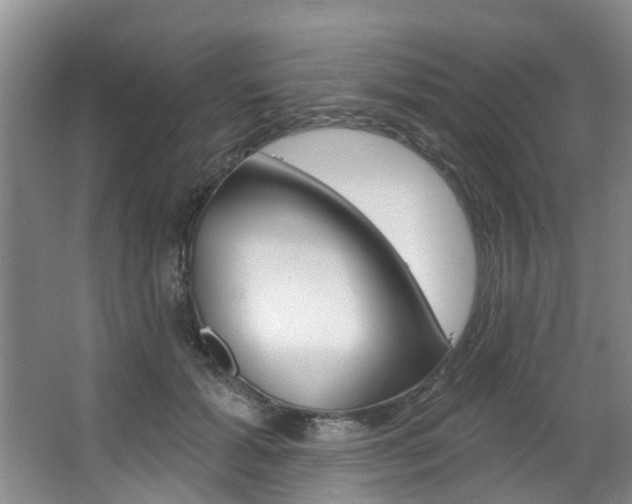 X0000063450605200601200957