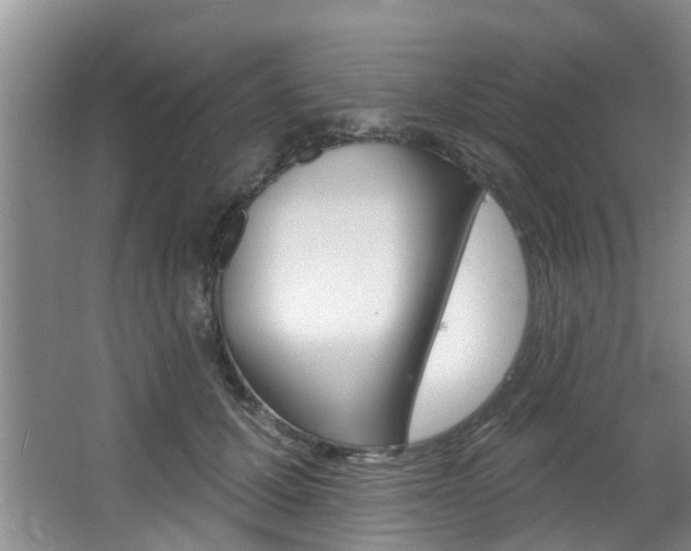 X0000063450607200601200957