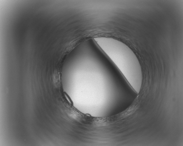 X0000063450624200601200956