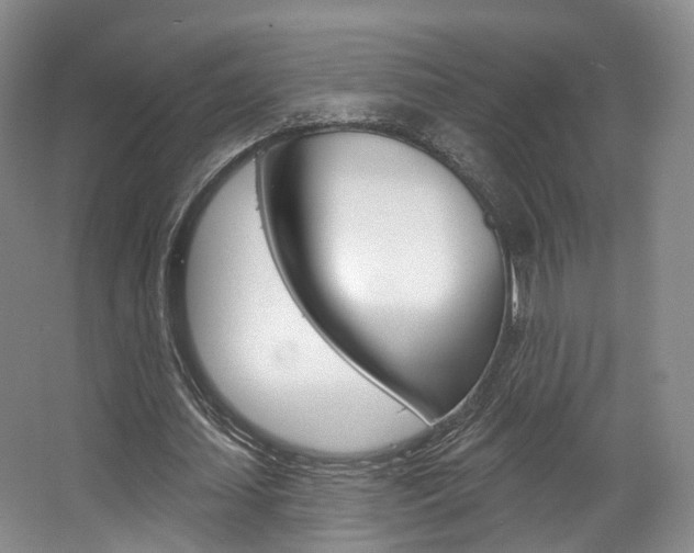 X0000063450627200601200955
