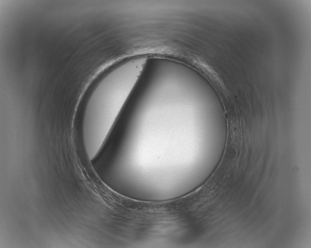 X0000063450628200601200956