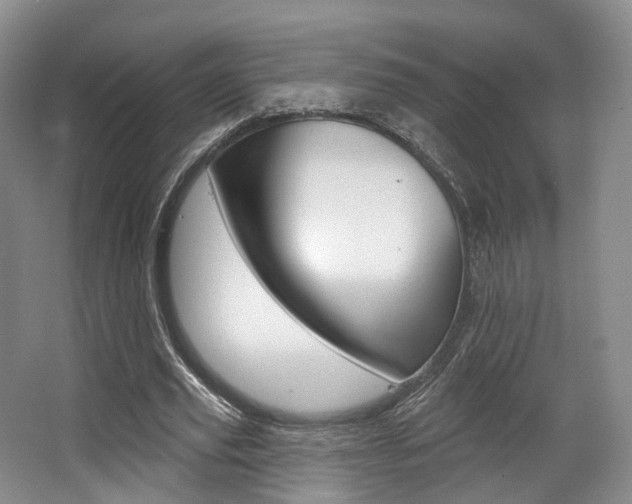 X0000063450629200601200956