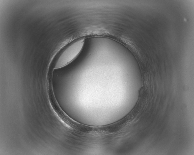 X0000063450630200601200956