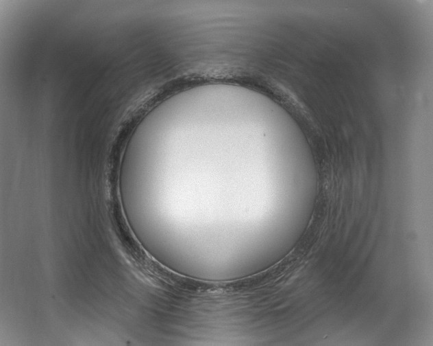 X0000063450635200601200956