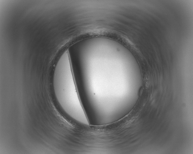 X0000063450637200601200956