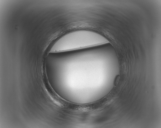 X0000063450638200601200956