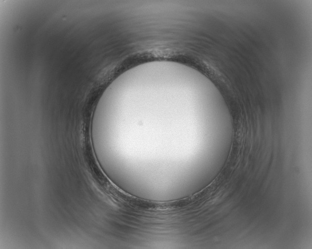 X0000063450639200601200956