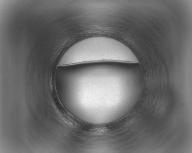 X0000063450642200601200956