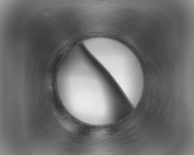 X0000063450643200601200956