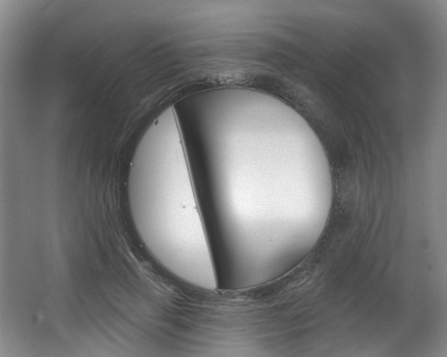 X0000063450645200601200956