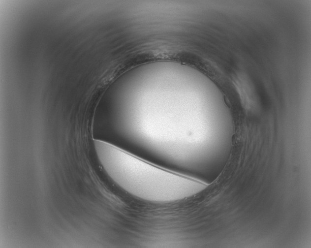 X0000063450646200601200956