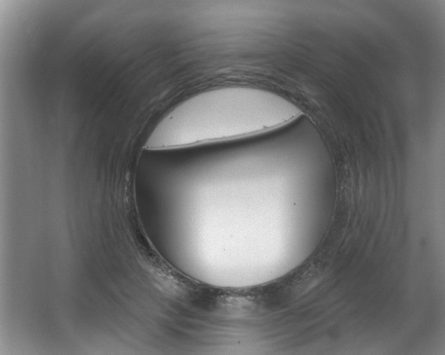 X0000063450649200601200956