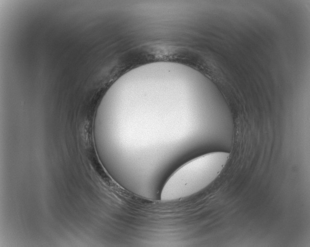 X0000063450650200601200956