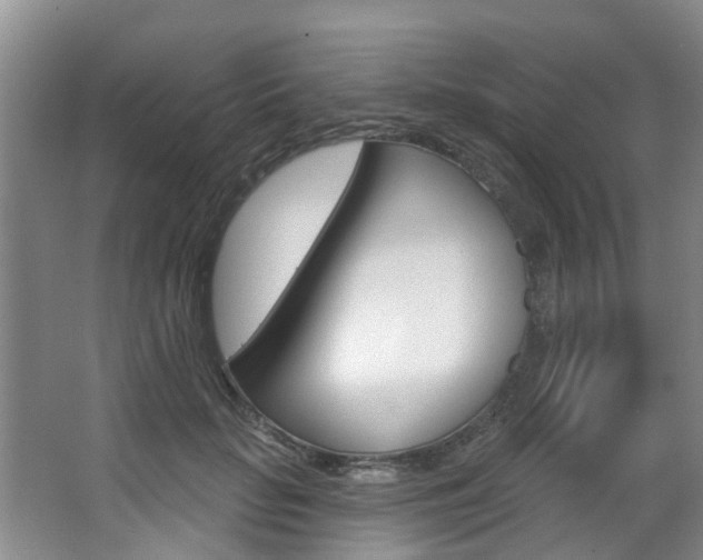 X0000063450653200601200956