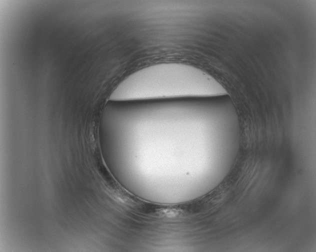 X0000063450654200601200956