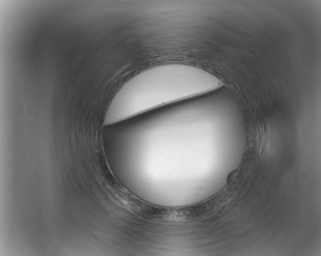 X0000063450656200601200956
