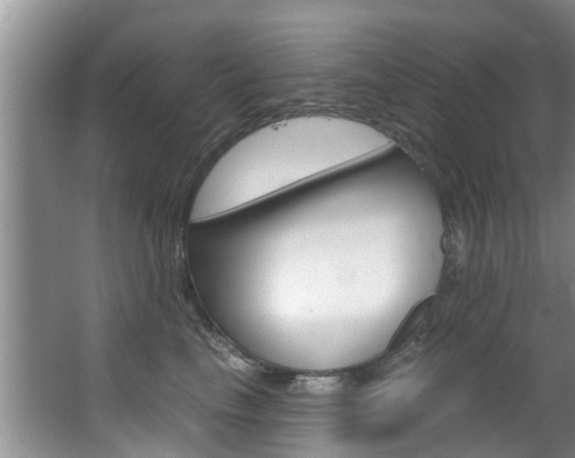 X0000063450665200601200956