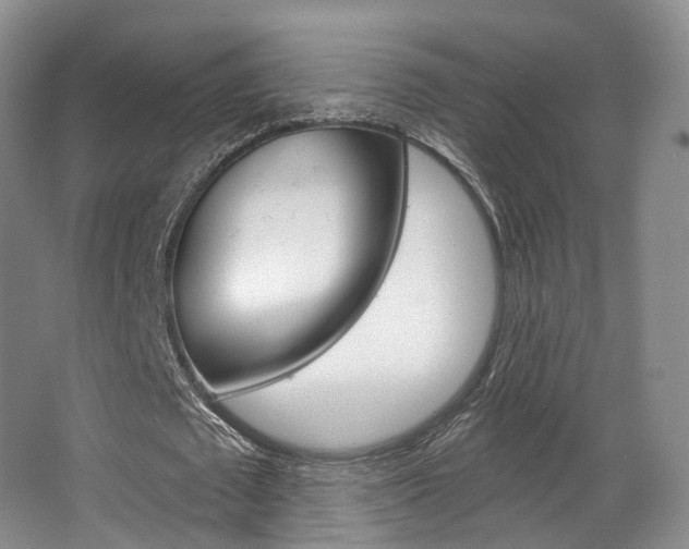X0000063450673200601200955