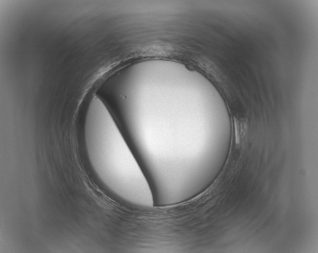 X0000063450675200601200955