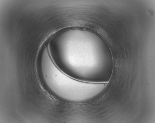 X0000063450676200601200955