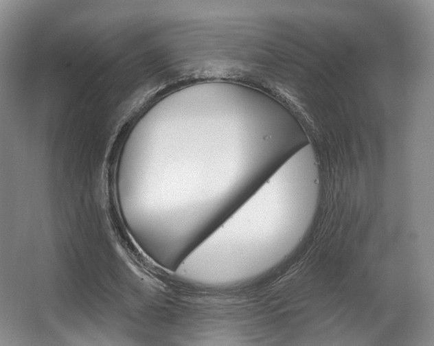 X0000063450678200601200955